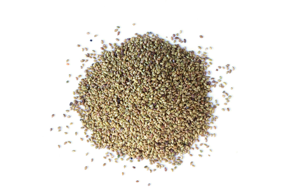 Alfalfa_Sprouting_Seeds__90132.1770837579