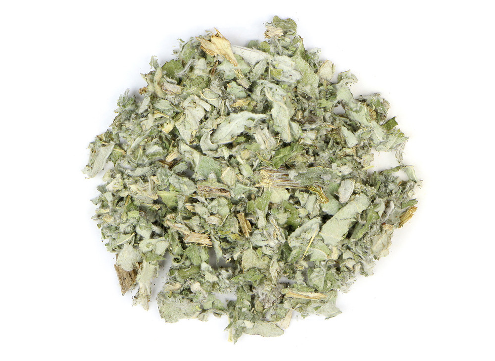 Artichoke_Leaf_OG_2021-03_25593__15173.1696365389