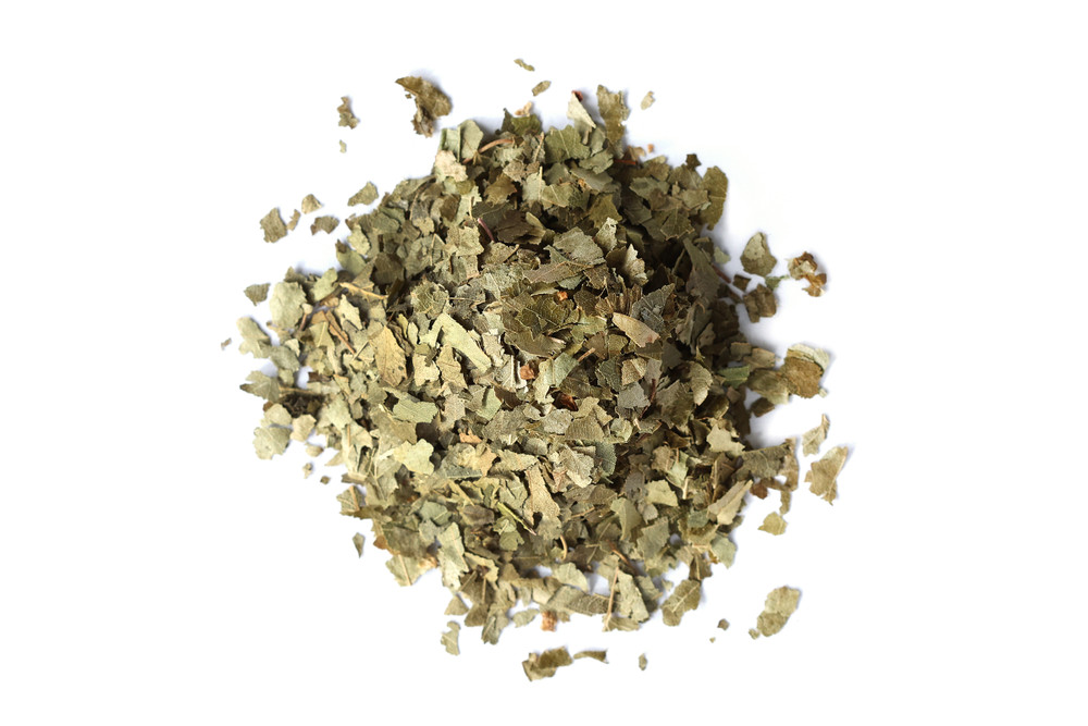 Birch_Leaf__15985.1772052194