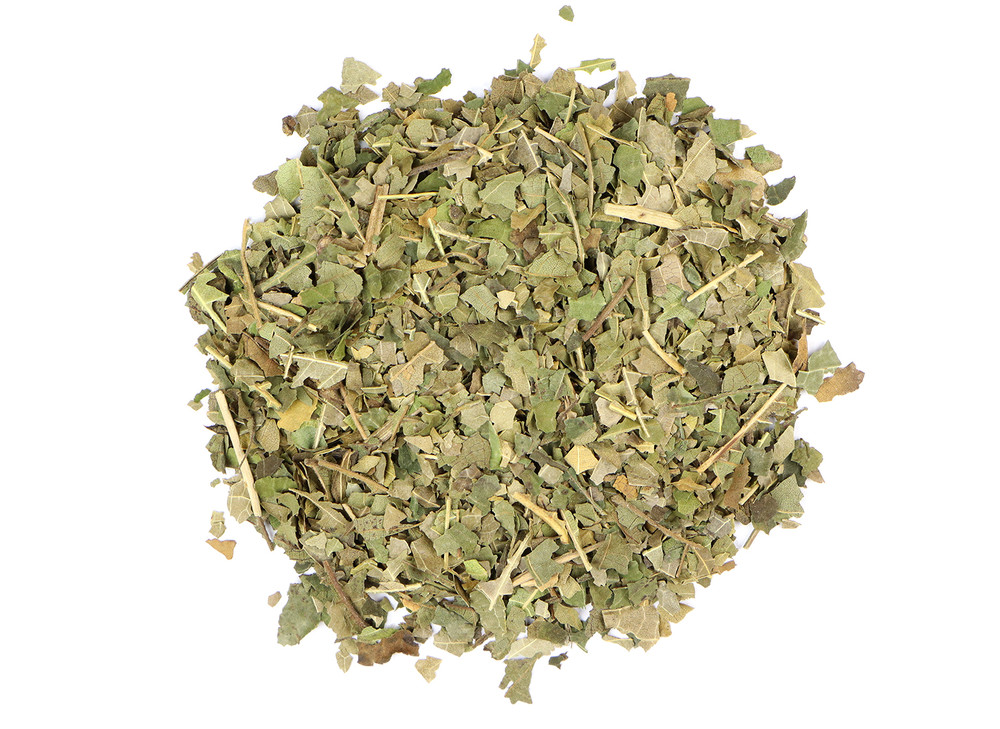 Black_Walnut_Leaf_NOG_2019-05-31__22773.1739812740