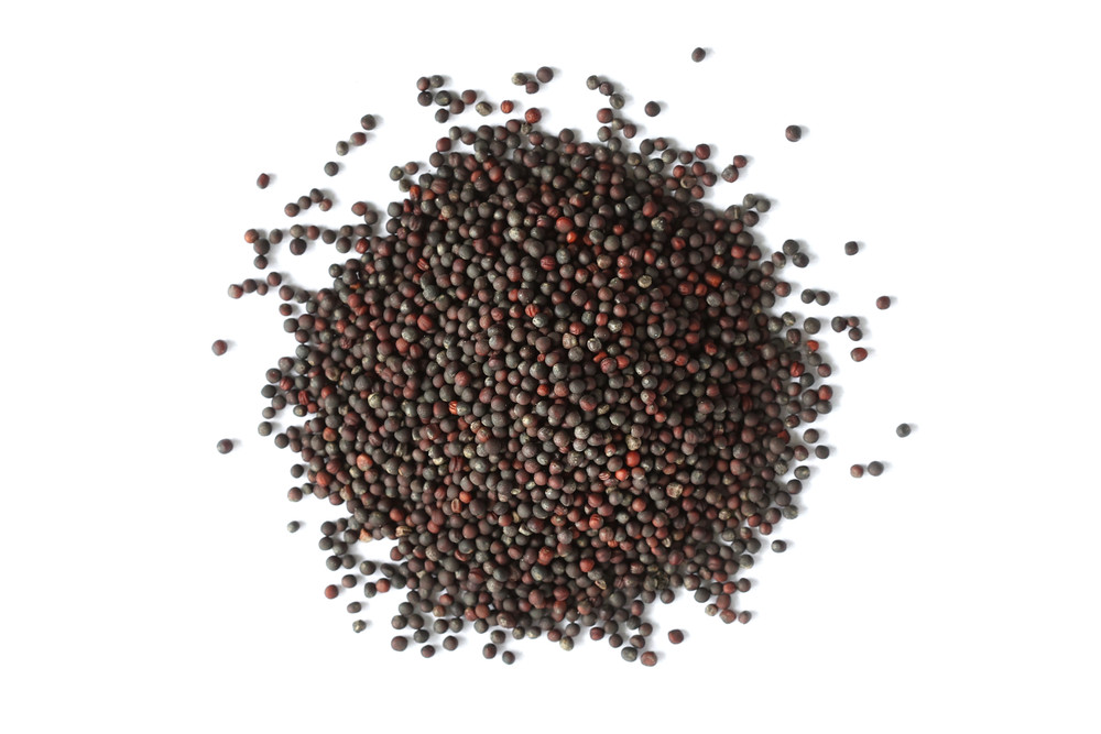 Broccoli_Sprouting_Seeds__95983.1773080310