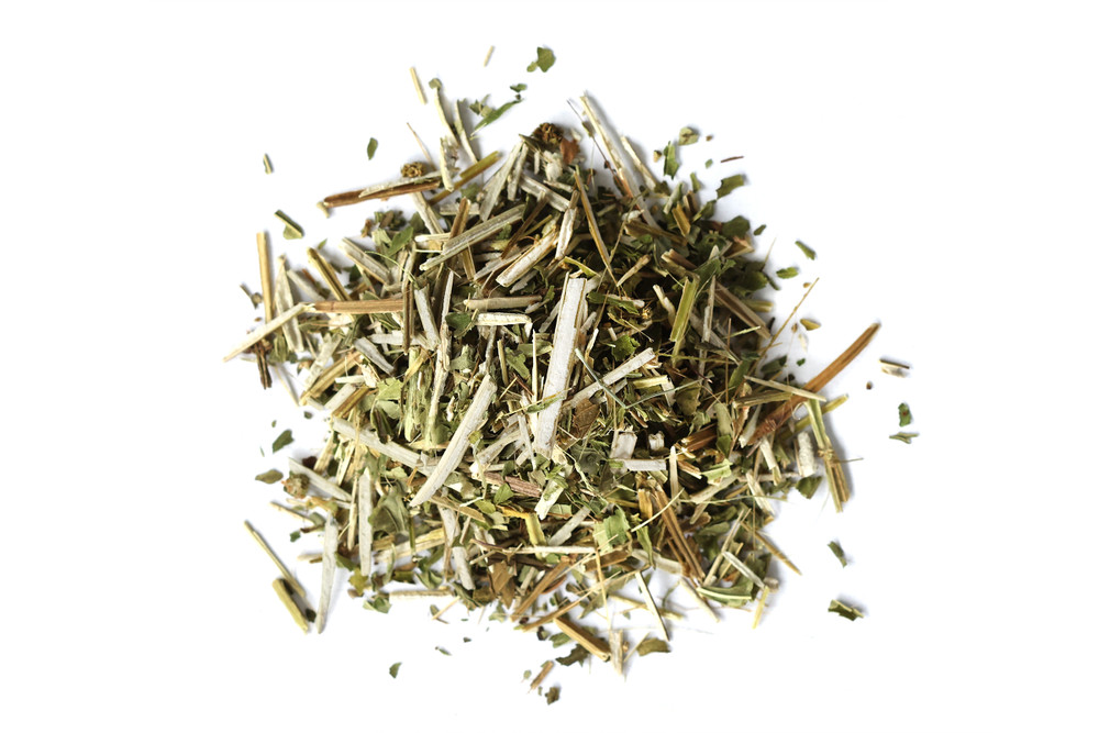 Bugleweed__74051.1773080487