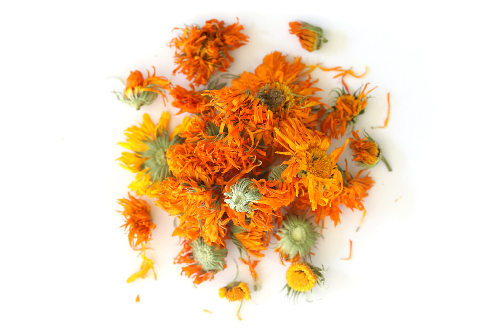Calendula_Overhead_New_Lot__10359.1734372245