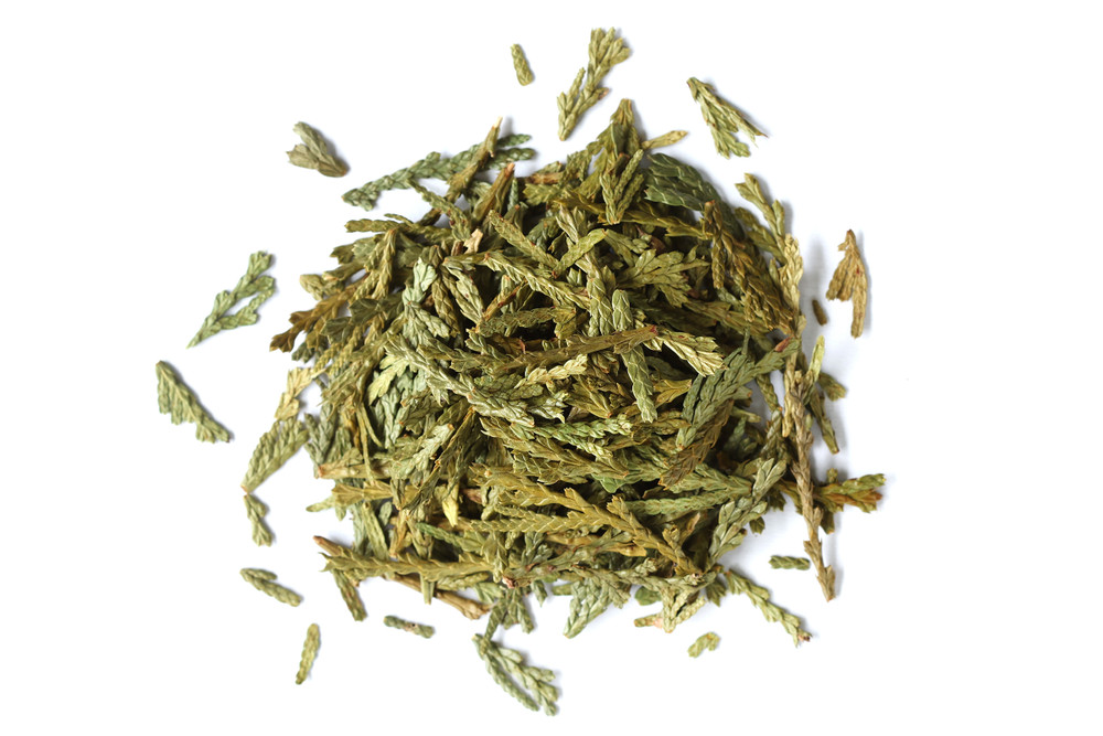Cedar_Leaf__69357.1773771121