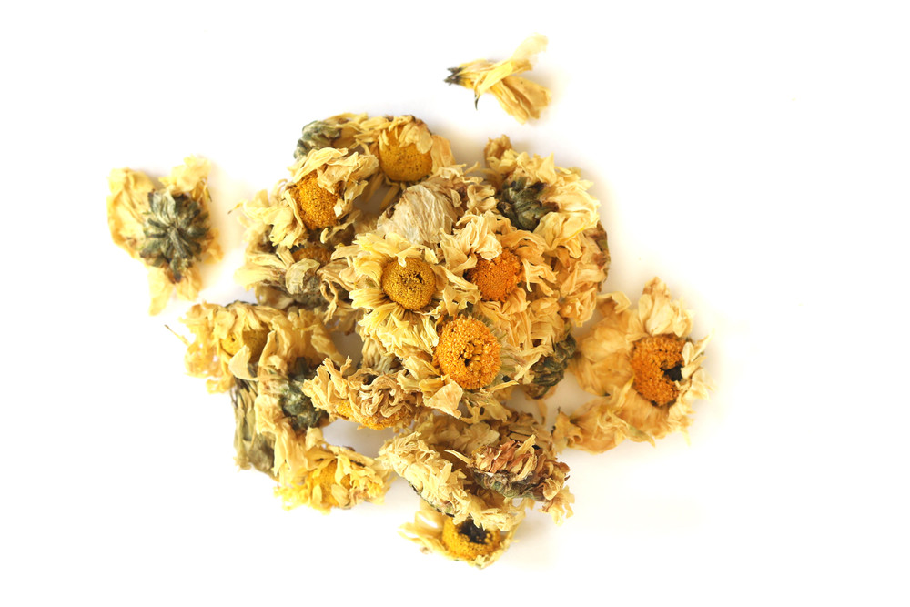 Chrysanthemum_Flowers_Whole_H00153-001__25525.1723668571