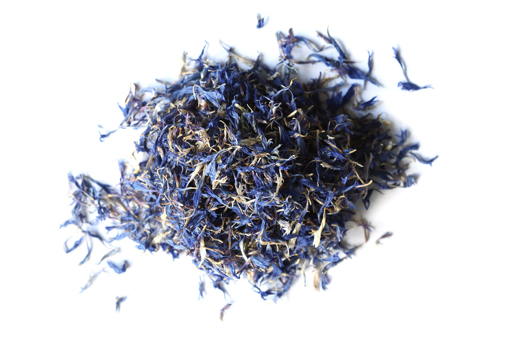 Cornflowers_Website__43591.1761778480