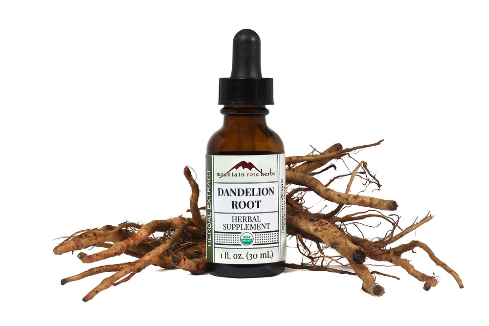 Dandelion_Root_Extract__99010.1730154631