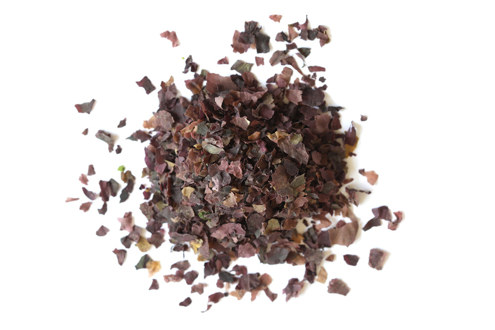 Dulse_Overhead__77971.1734108283