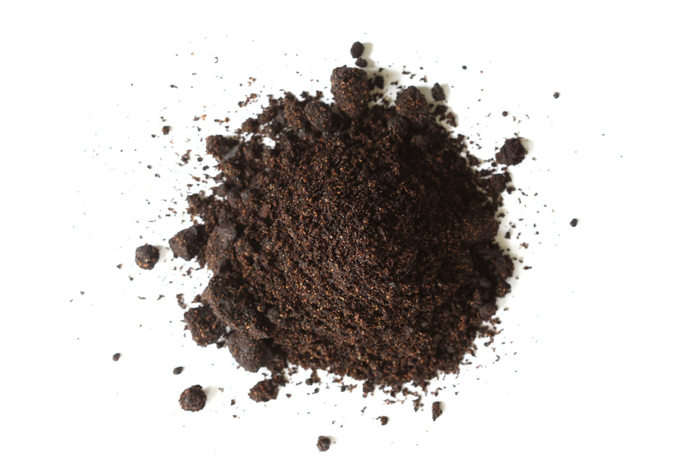Elder_Berry_Powder_Website__33593.1761778879