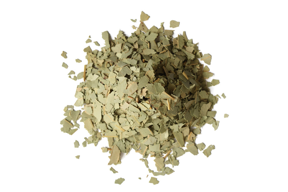 Eucalyptus_Leaf_Website__34536.1762464553