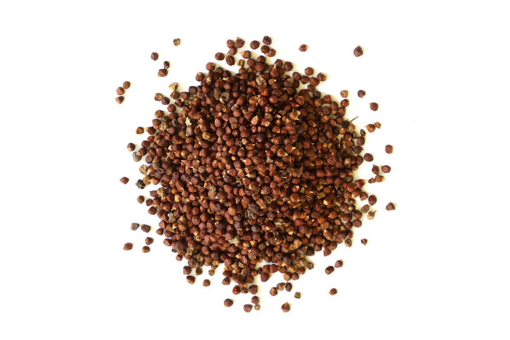 Grains_of_Paradise__72579.1777412097