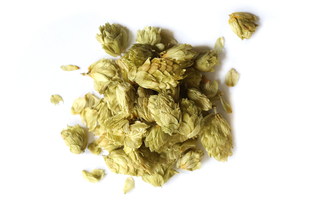 Hops_Website__10939.1762465218
