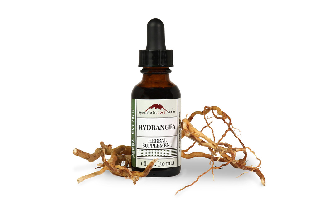 Hydrangea_Root_Extract__59266.1749145612