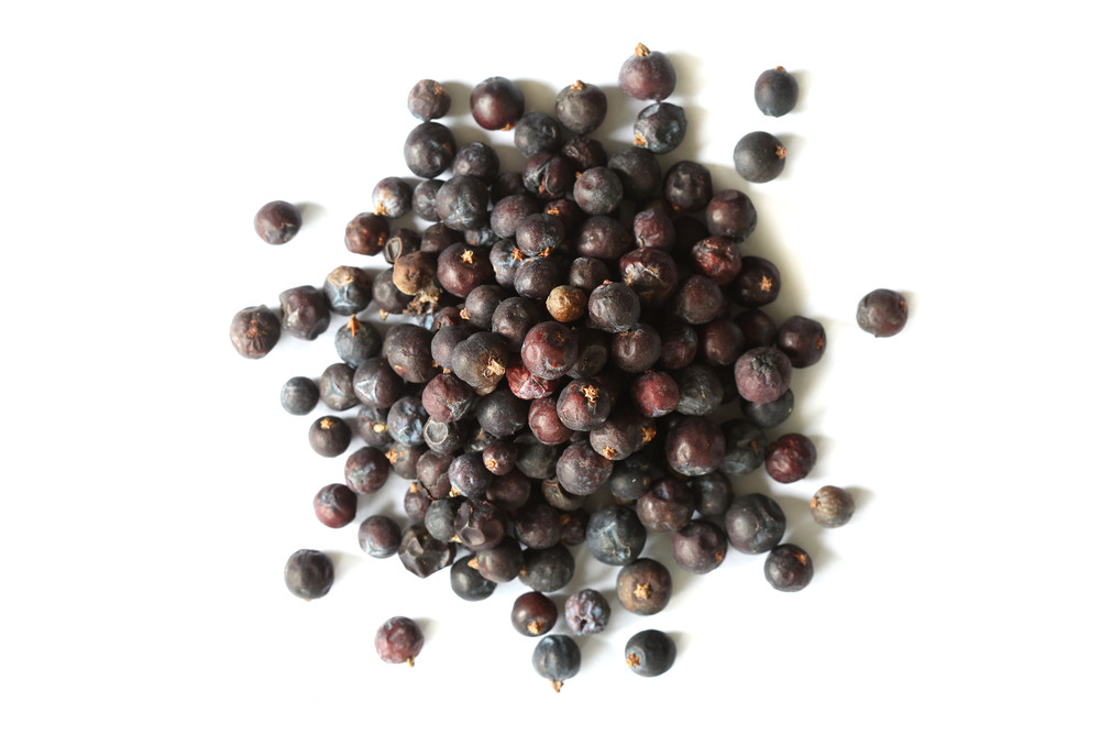 Juniper_Berries_Website__67660.1762465347