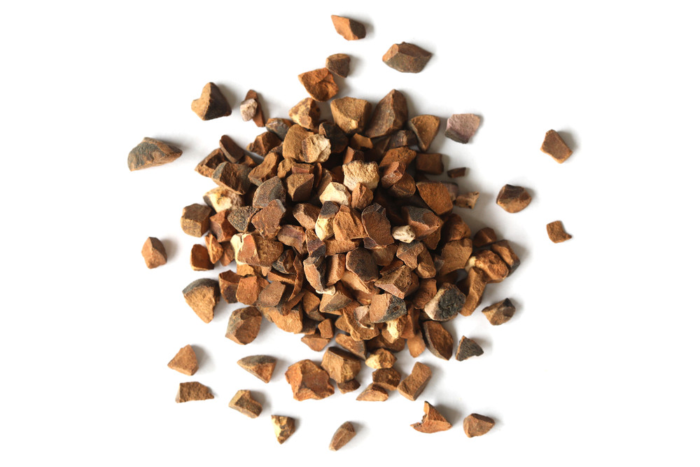 Kola_Nut_H36451-001-C__84381.1738881188