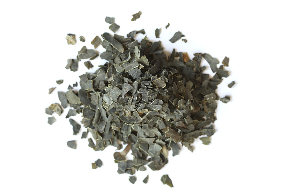 Kombu_Overhead__32839.1733760426