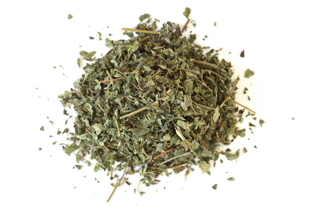 Lemon_Balm__35901.1770836947