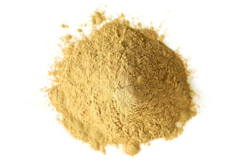 Maitake_Extract_Powder_H36426-001__36075.1714680692