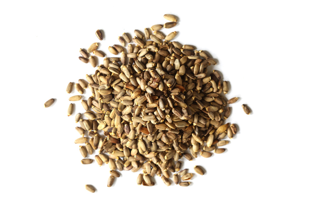 Milk_Thistle_Whole_Website__60986.1762466011