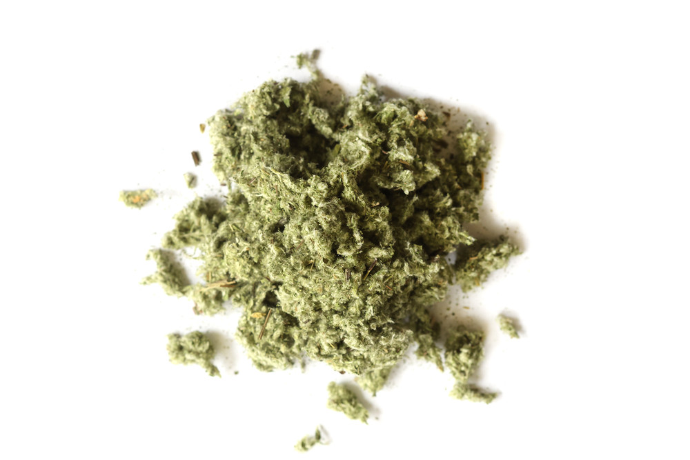 Mugwort_Website__93147.1762466124