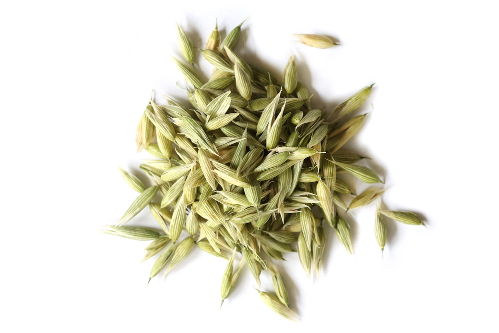 Oat_Tops_Website__42064.1762469293