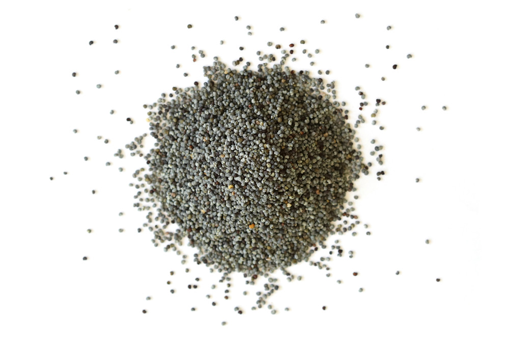Poppy_Seeds_Overhead__11021.1769558261