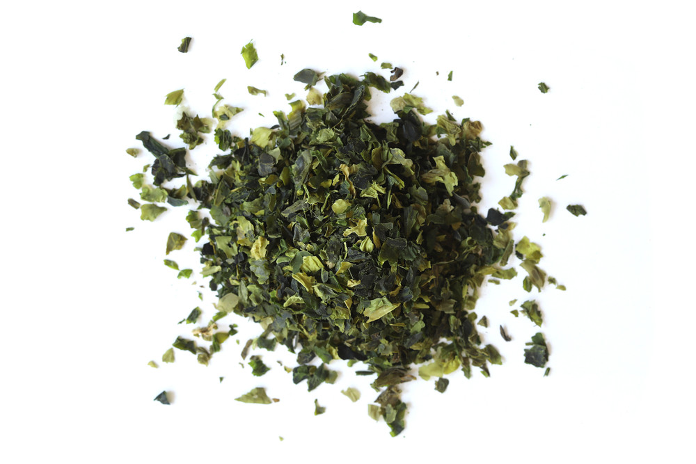 Sea_Lettuce_Overhead__39058.1723133921