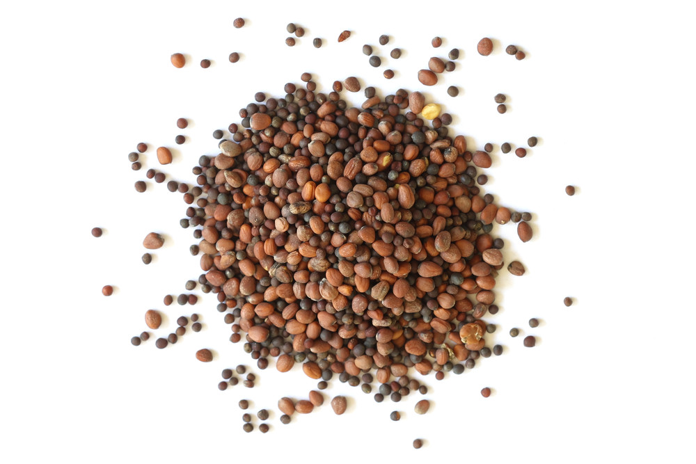 Spicy_Sprouting_Seeds__27473.1784584704