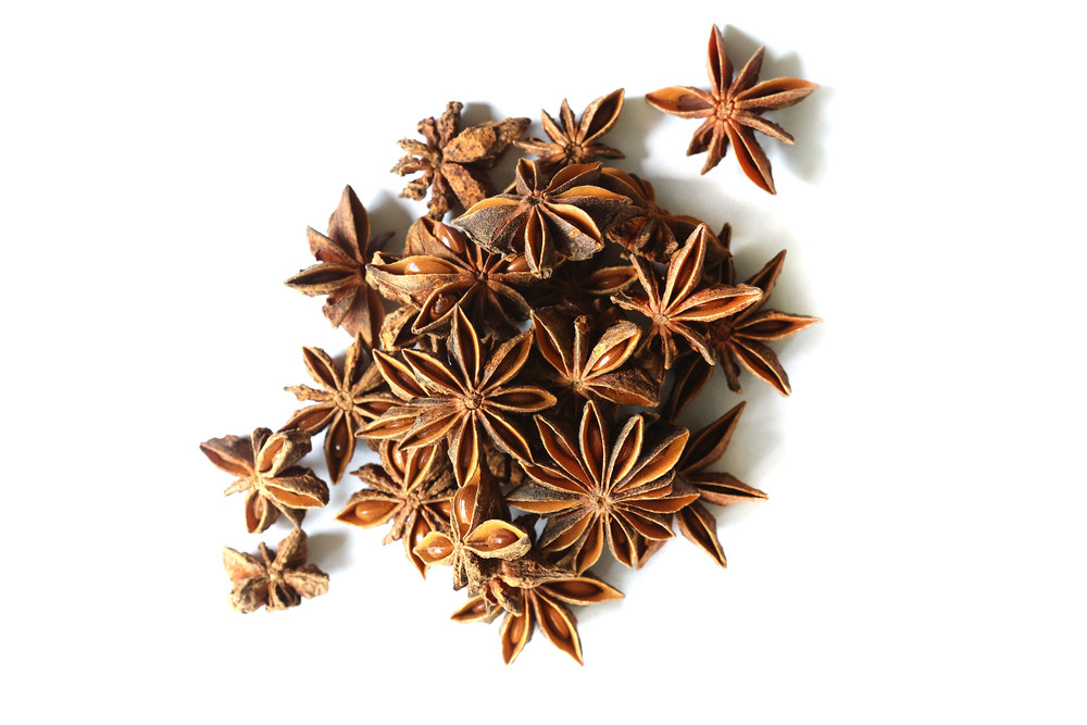 Star_Anise_Website__28220.1763412615