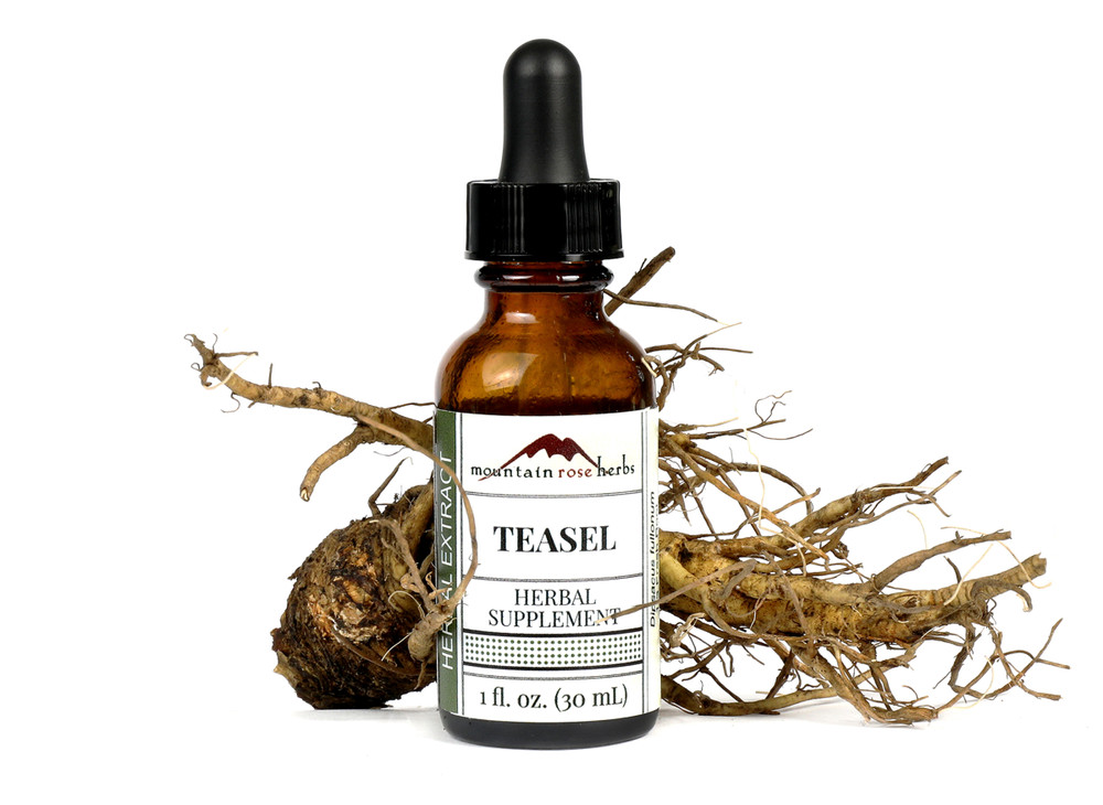 Teasel_Extract__44181.1687811116