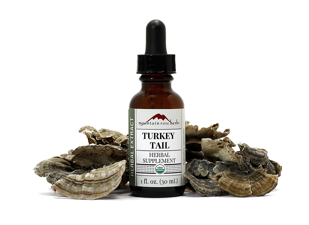 Turkey_Tail_Extract_2020-12-10__07718.1607625563