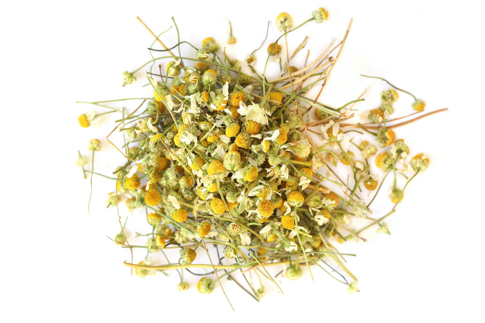 US_Grown_Chamomile__00438.1755717129