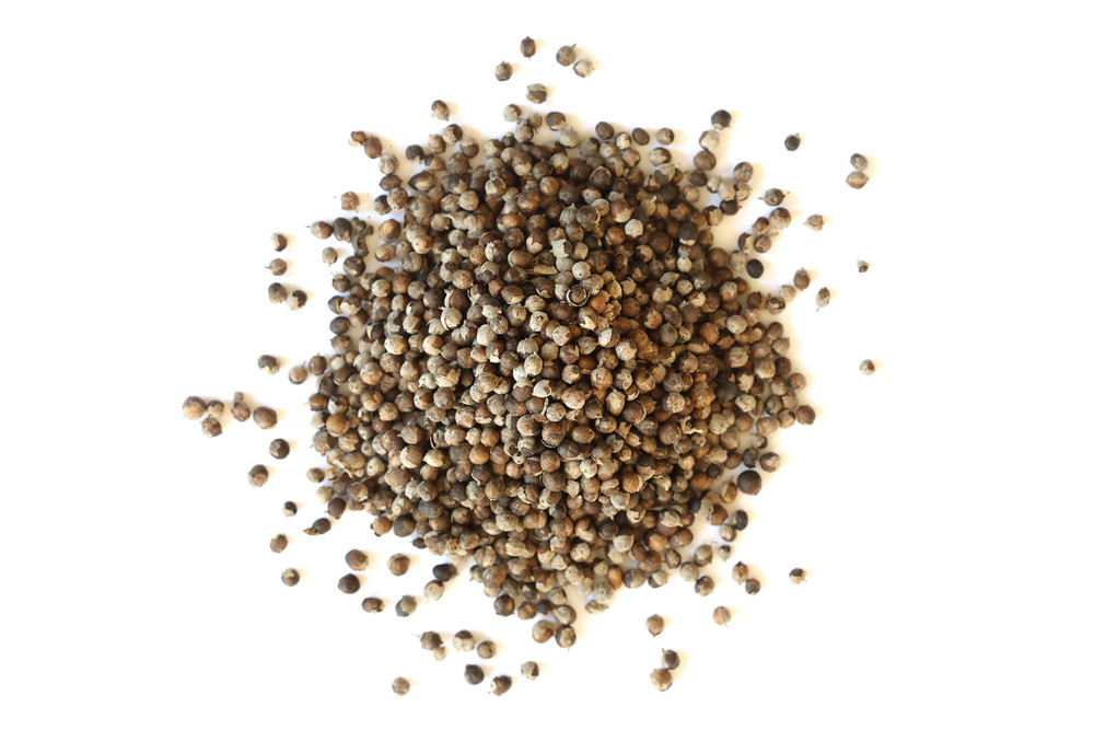 Vitex_Berries_Website__67664.1763413282